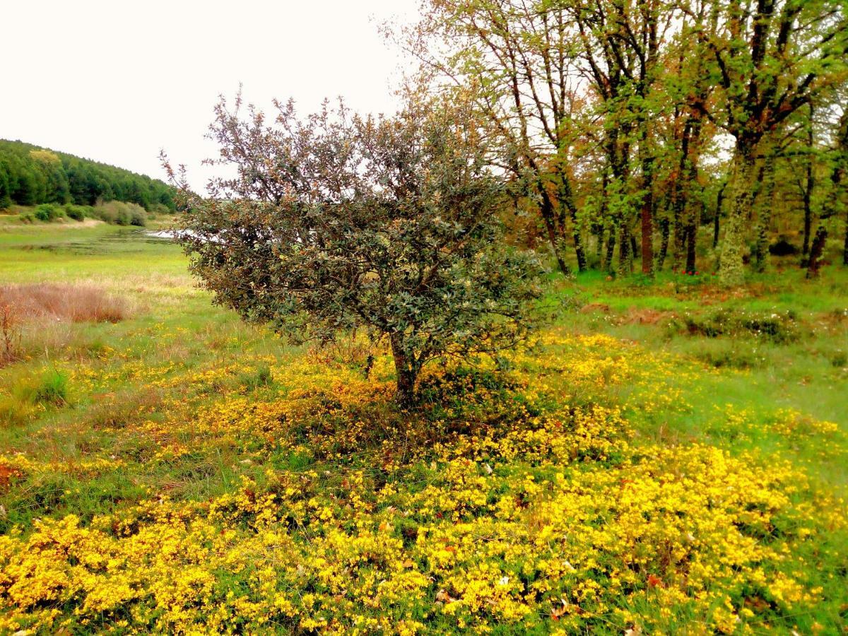 Casa Rural Lamadretierra Villamejil Buitenkant foto